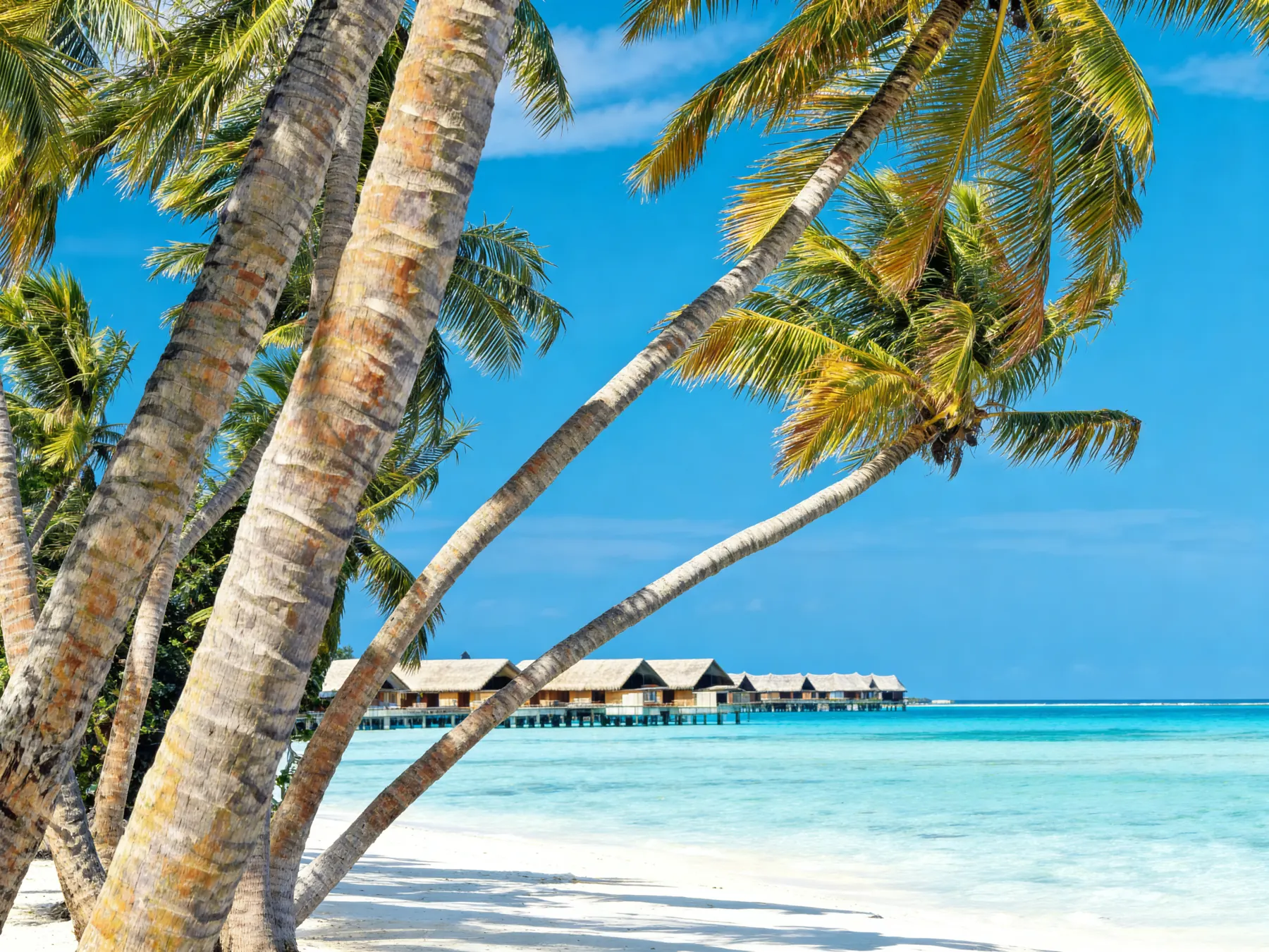 Maldives Tour